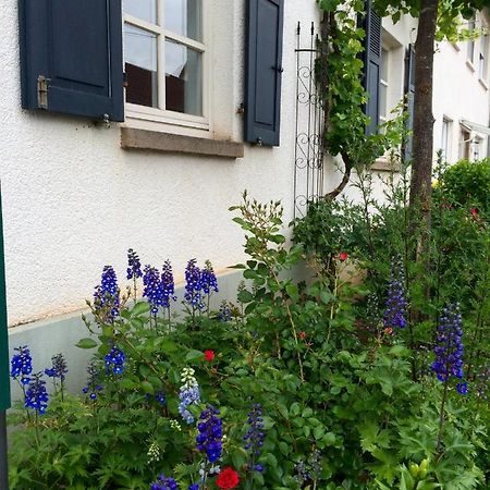 Seelig'S Weinsheim  Exteriér fotografie